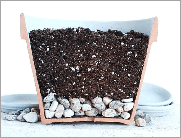 Drainage-rocks improve drainage in potted plants