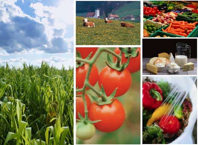 Agribusiness is diverse