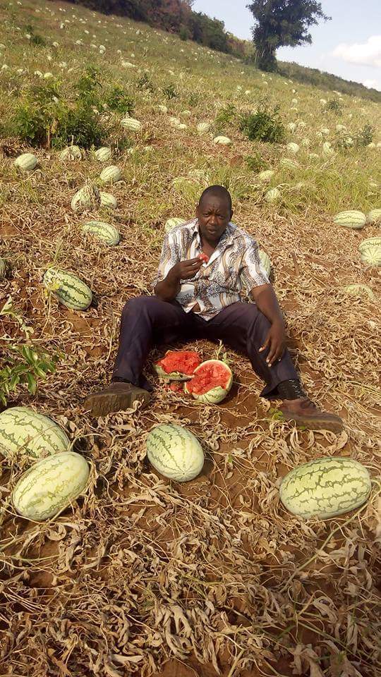 Agribusiness