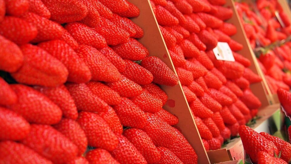 Open market in Agribusiness