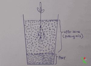 Container Gardening: How to Improve Drainage in Potted Plants | Hort Zone