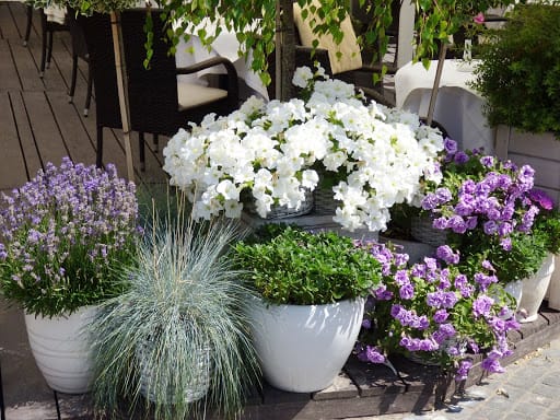 Container arrangement